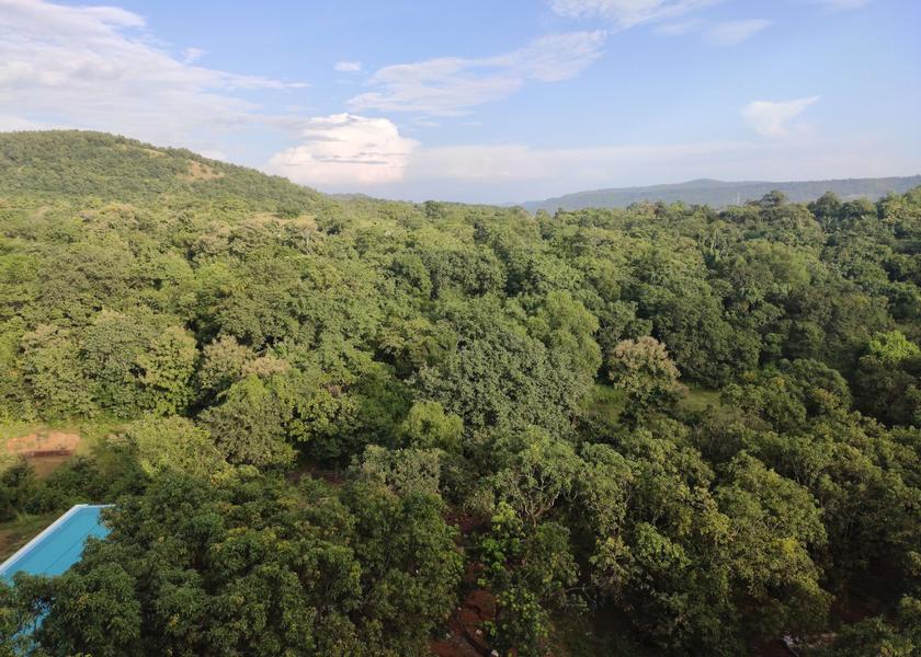 Maharashtra Harihareshwar Hotel View