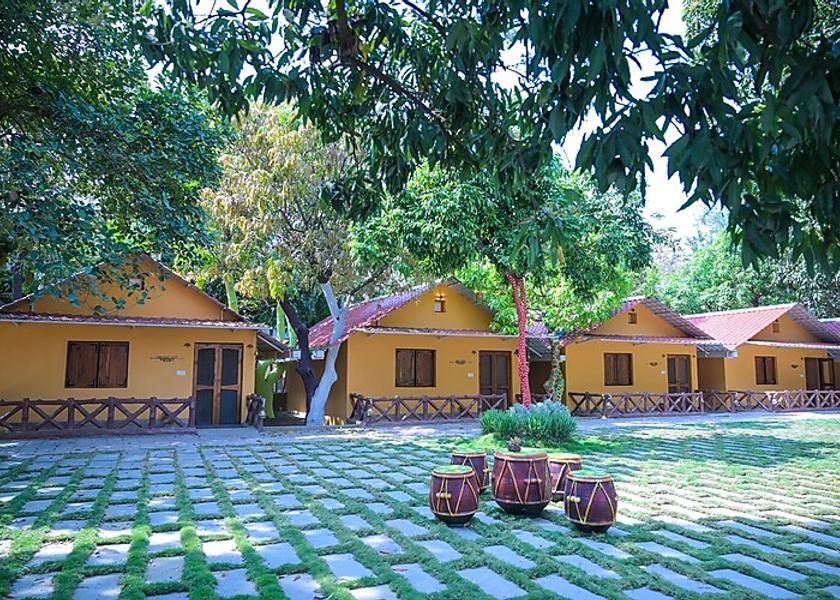 Chhattisgarh Jagdalpur Outdoors