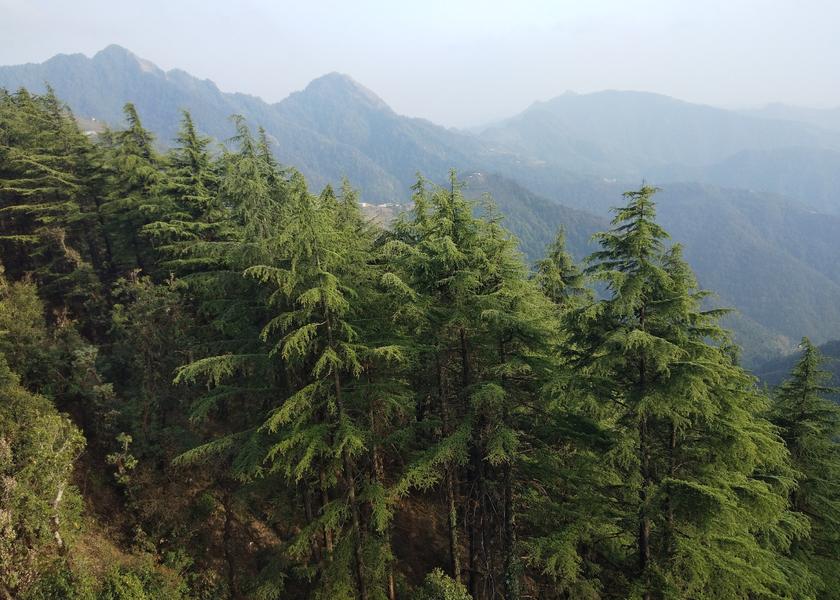 Uttarakhand Dhanaulti Hotel View