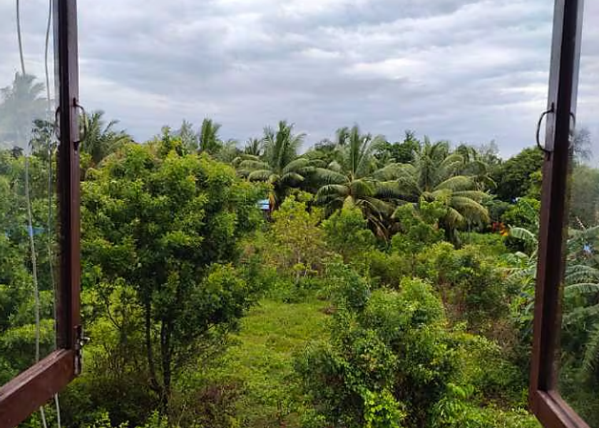 Andaman and Nicobar Neil Island Hotel View