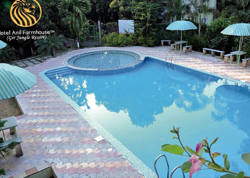 Gujarat Sasan Gir Pool