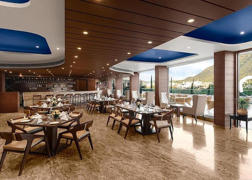 Rajasthan Udaipur Food & Dining