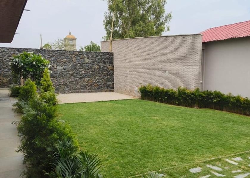 Rajasthan Jaipur Outdoors
