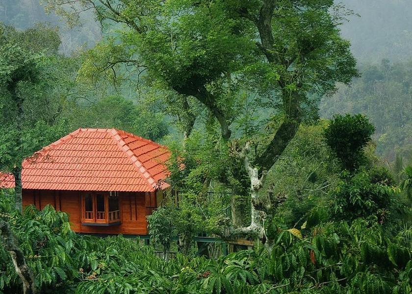 Kerala Wayanad Hotel Exterior