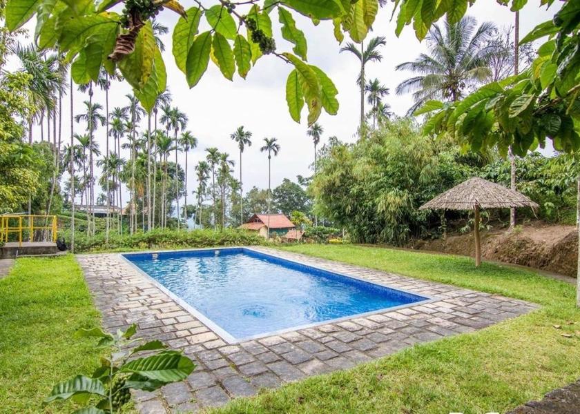 Kerala Wayanad Pool