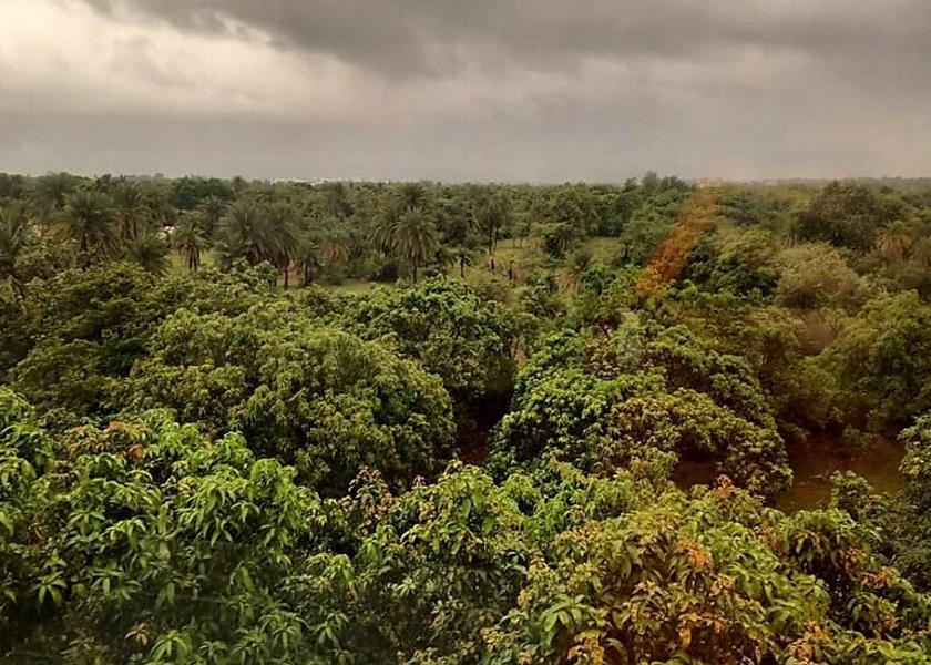Dadra and Nagar Haveli and Daman and Diu Daman Hotel View