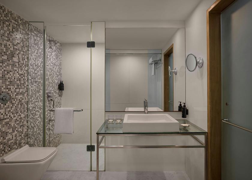 Gujarat Ahmedabad Hazel Suite Bathroom - Shower - Sink