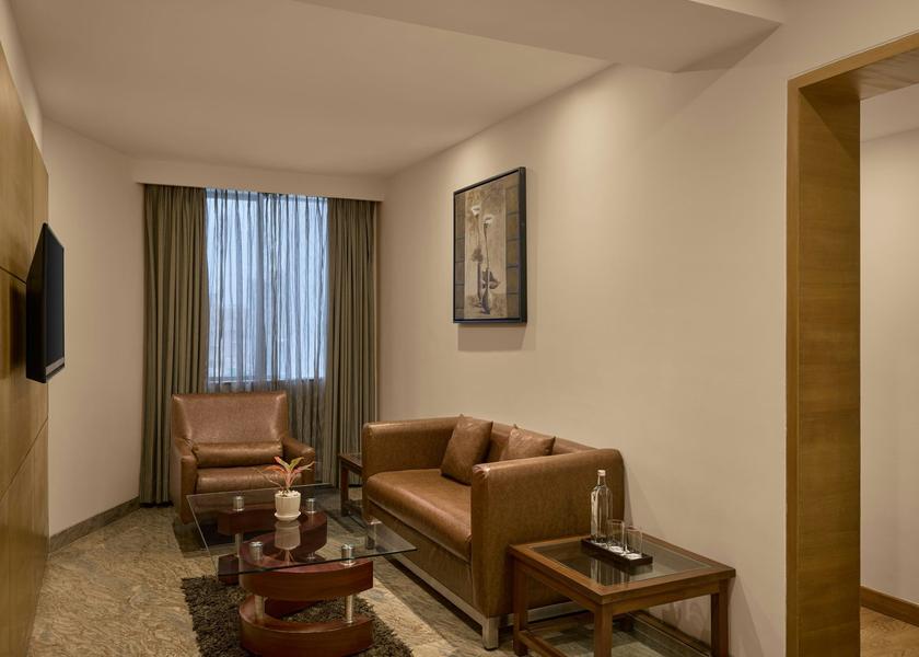 Gujarat Ahmedabad Hazel Suite Living Room - Sofa - TV