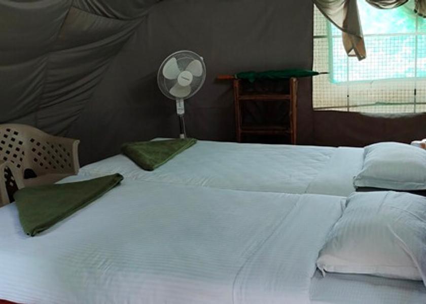 Karnataka Chamarajanagar Tented Cottage