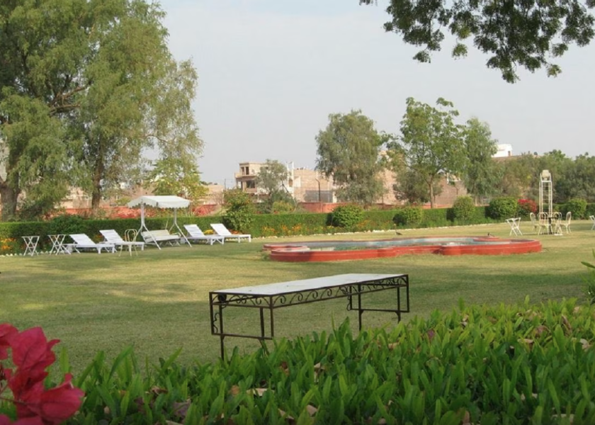 Rajasthan Bikaner Outdoors