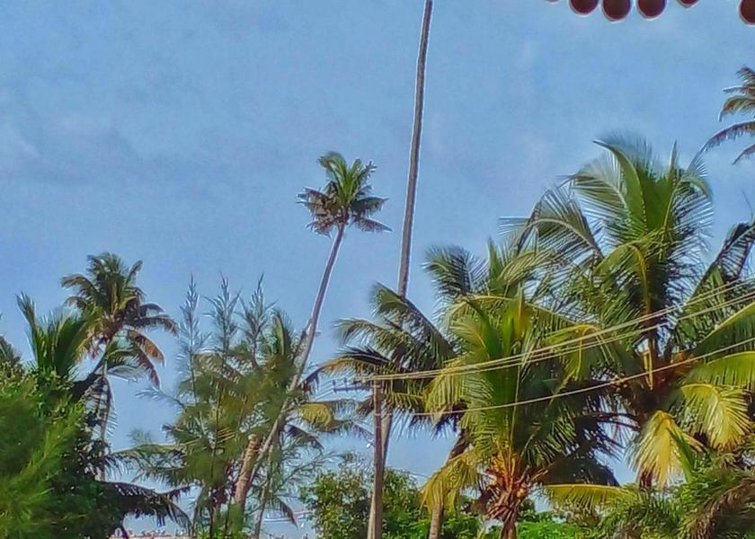 Kerala Alleppey View