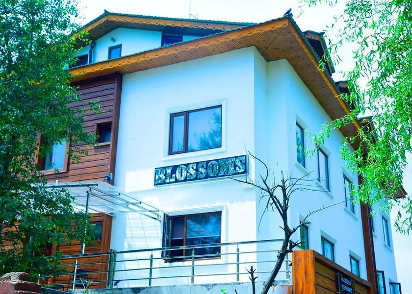 Jammu and Kashmir Srinagar 