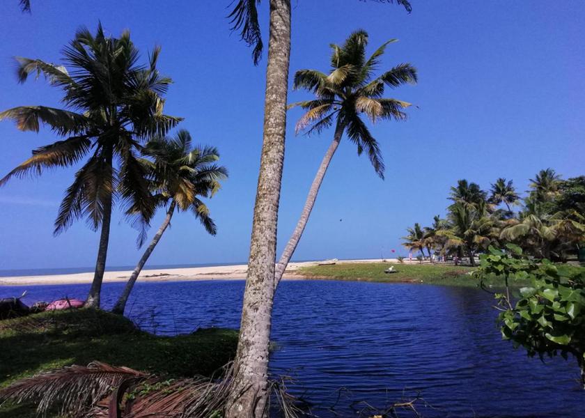 Kerala Mararikulam 