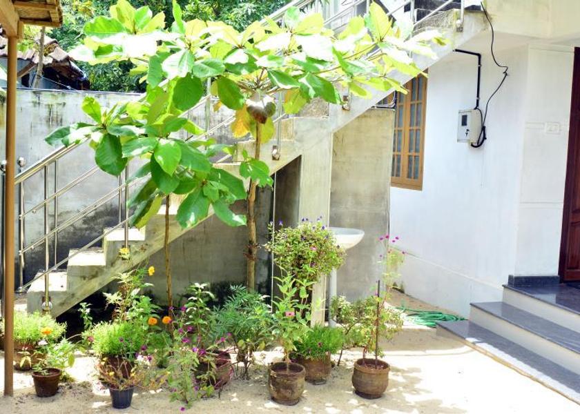 Kerala Alleppey Garden