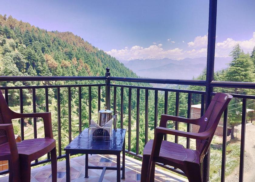 Himachal Pradesh Dalhousie Forest Room