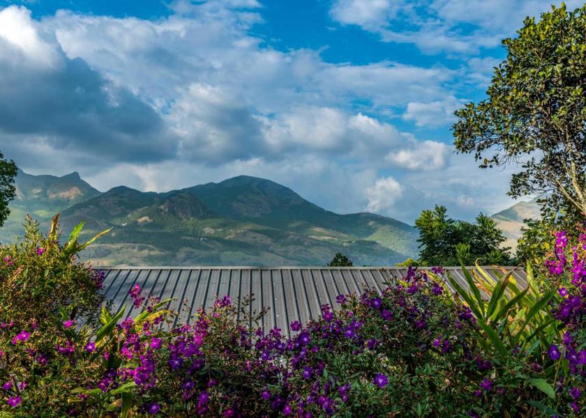 Kerala Munnar Hotel View