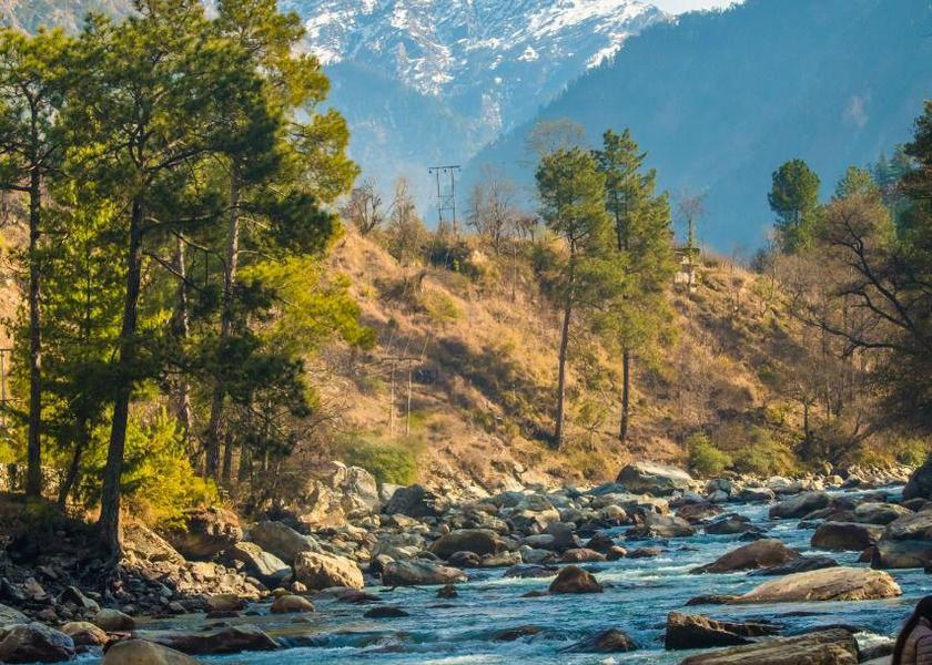 Himachal Pradesh Kasol 