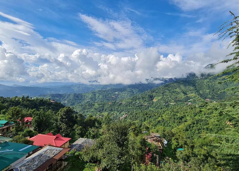Himachal Pradesh Shimla Balcony/terrace