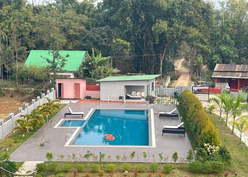 Assam Kaziranga Pool