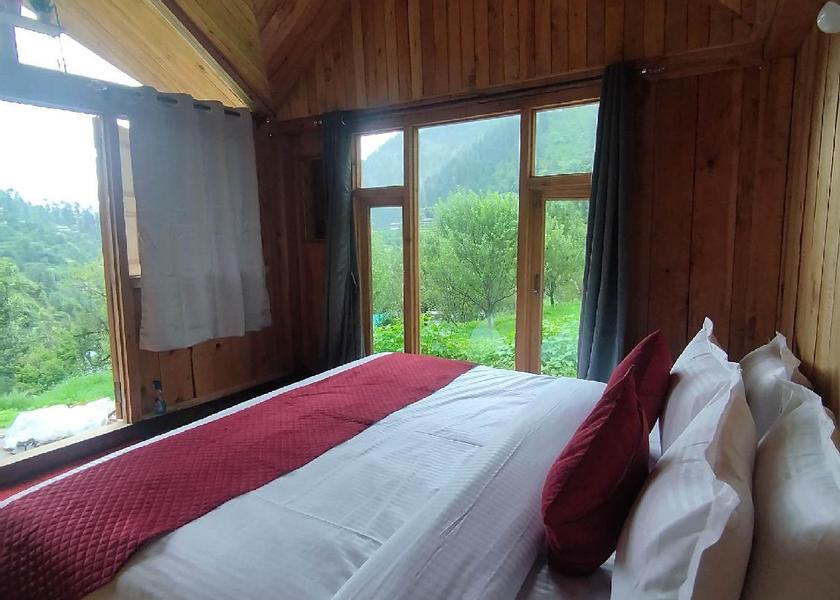 Himachal Pradesh Jibhi Interior view