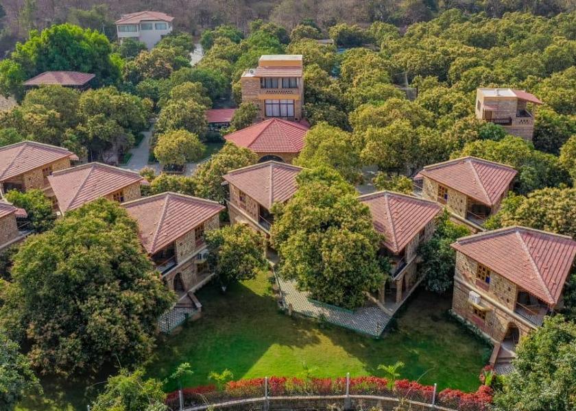 Gujarat Sasan Gir Hotel View