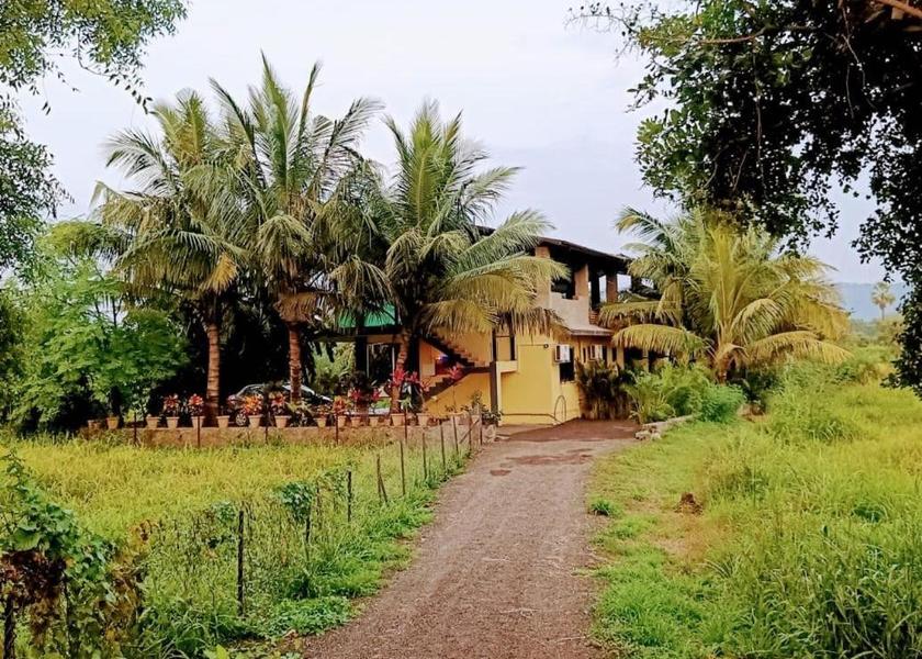 Maharashtra Alibaug Garden