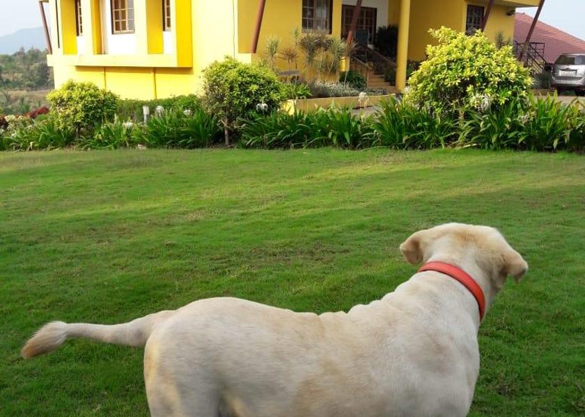 Maharashtra Igatpuri 