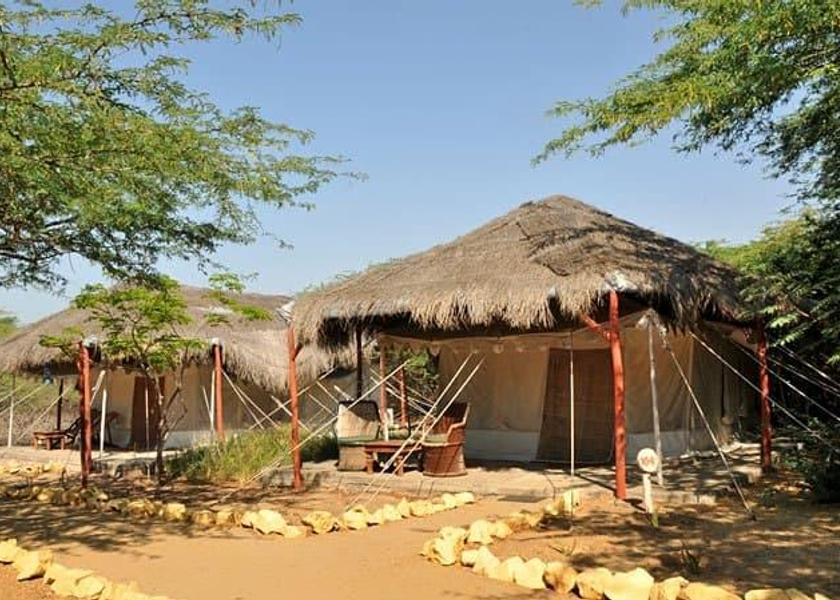 Gujarat Mandvi 