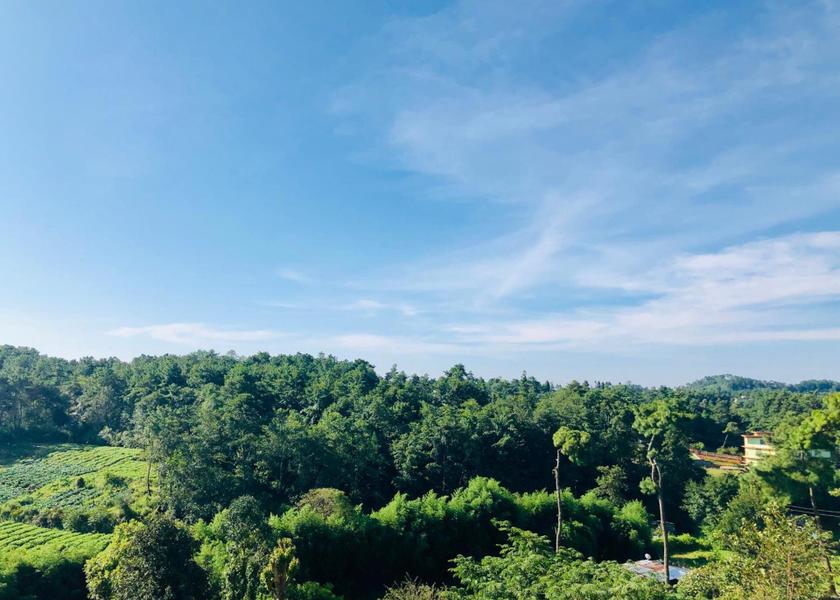 Meghalaya Shillong View