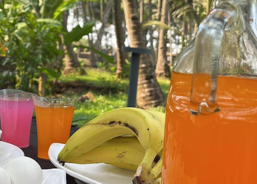 Maharashtra Ratnagiri Food and beverages