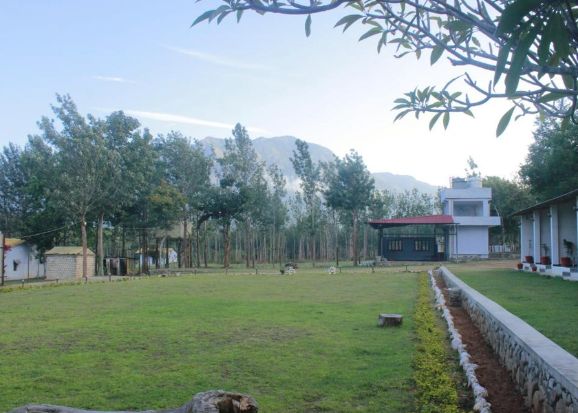 Tamil Nadu Masinagudi Outdoors