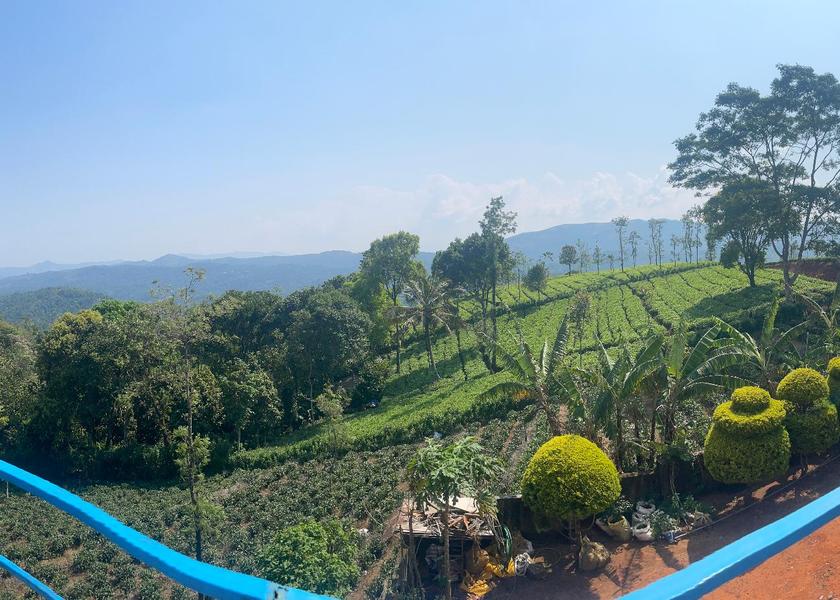 Kerala Idukki Balcony/terrace