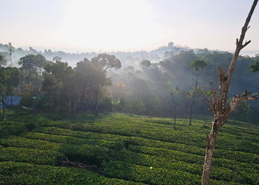 Kerala Idukki Exterior view
