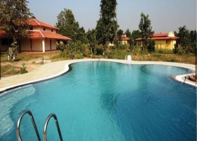 Madhya Pradesh Kanha Swimming pool