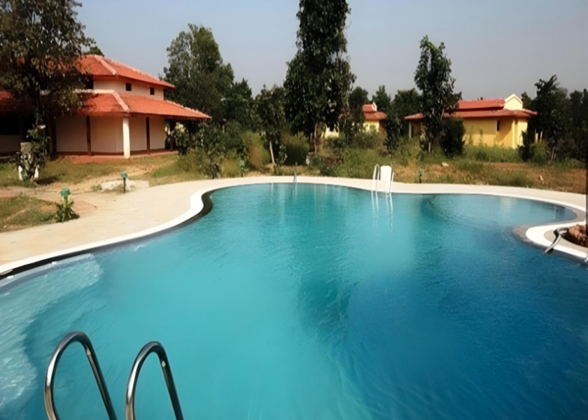 Madhya Pradesh Kanha Pool