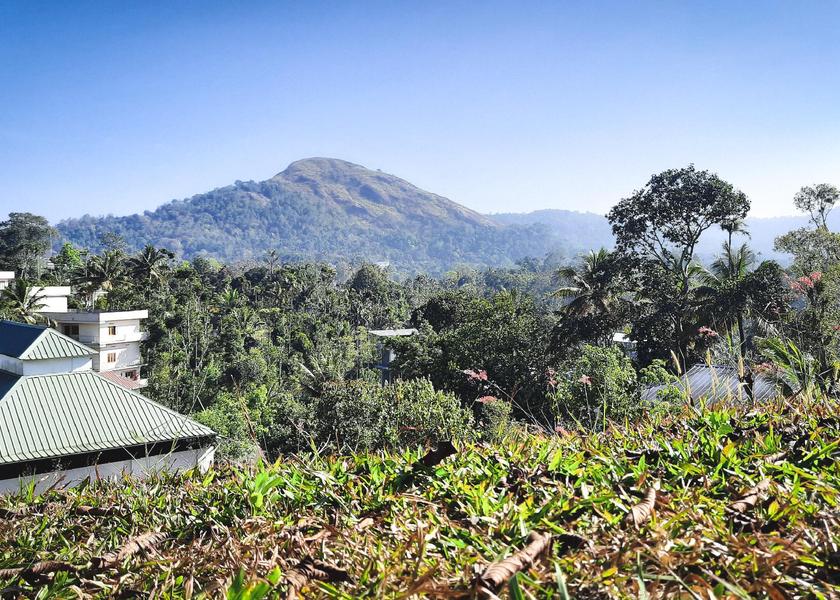 Surrounding environment