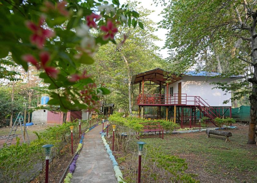 Tamil Nadu Masinagudi Playground