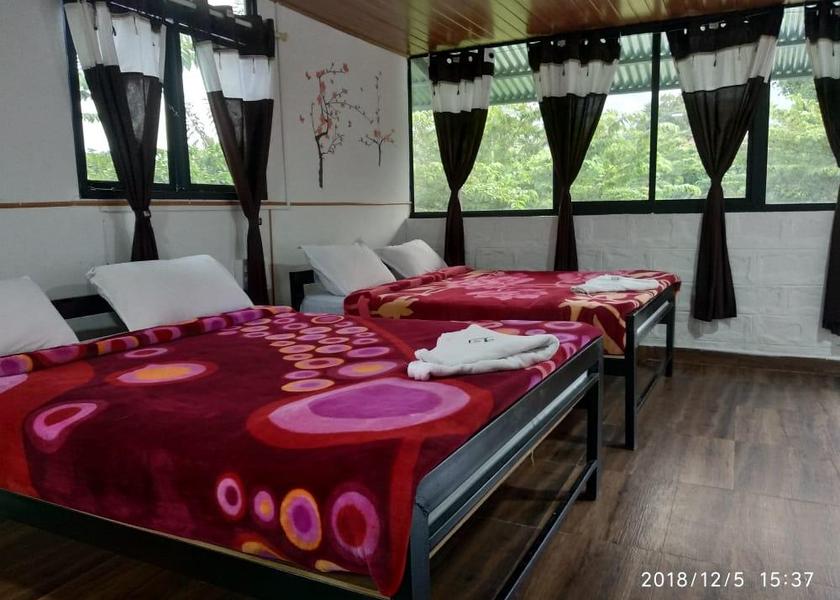 Tamil Nadu Masinagudi Interior view