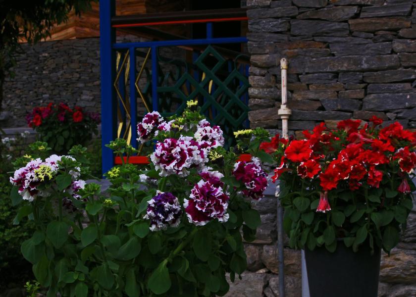 Sikkim Ravangla 
