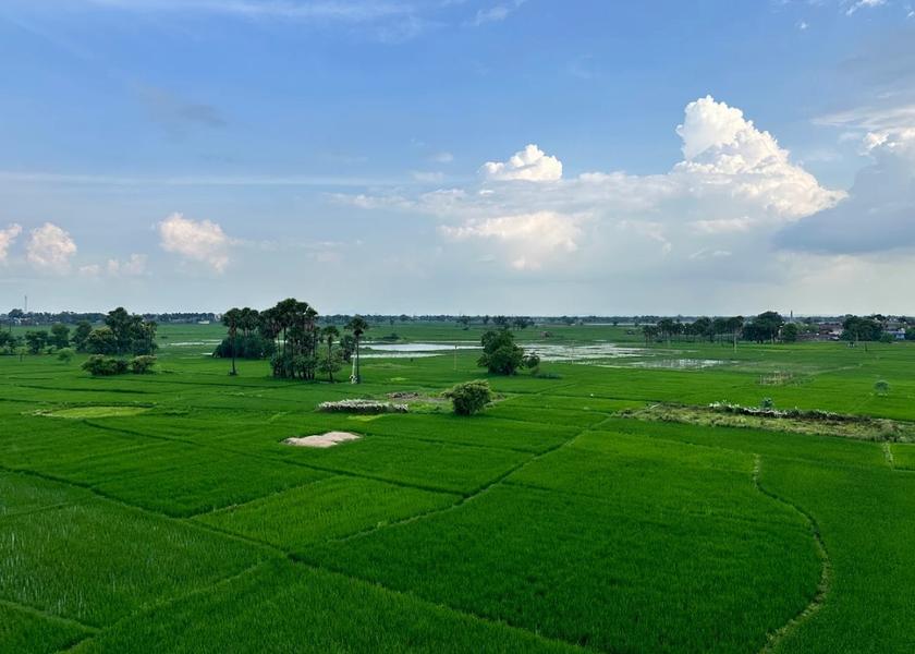 Bihar Bodh Gaya Hotel View