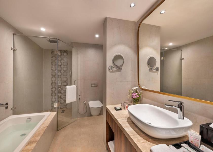 Karnataka Belagavi Bathroom