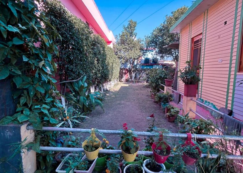 Uttarakhand Haldwani Garden