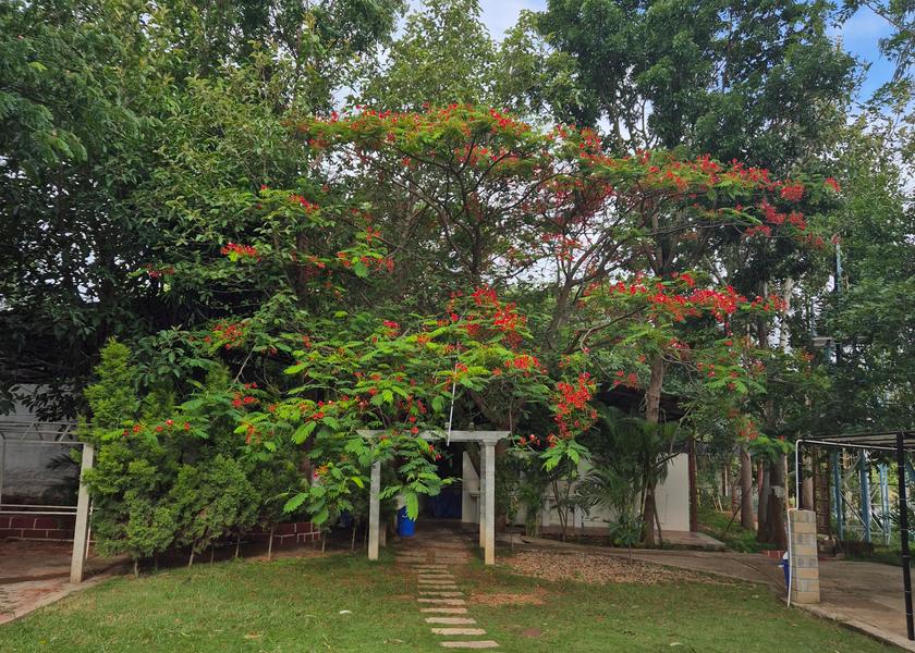 Karnataka Kanakapura Outdoors