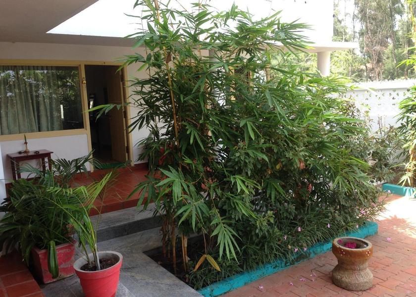 Tamil Nadu Mahabalipuram Hotel Exterior