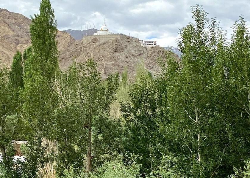 Ladakh Leh Exterior view