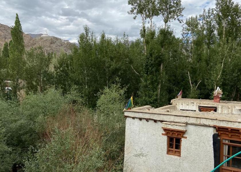 Ladakh Leh Exterior view
