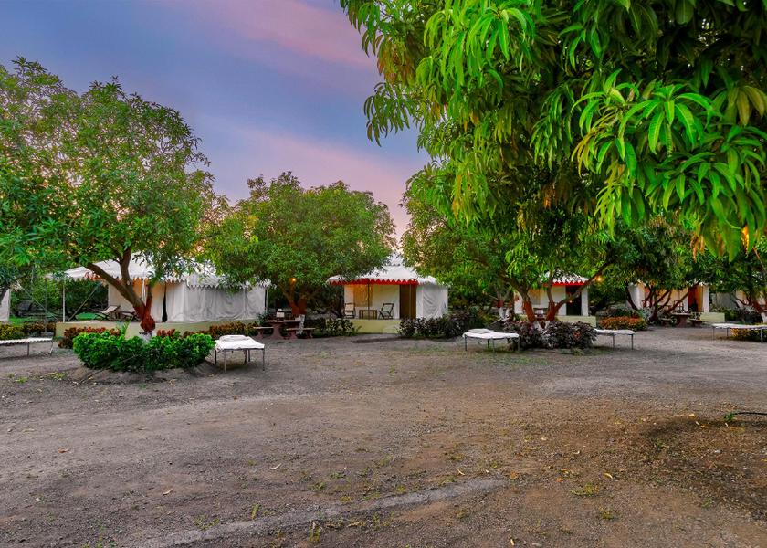 Gujarat Sasan Gir Exterior view