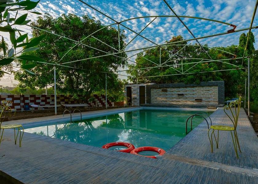 Gujarat Sasan Gir Pool