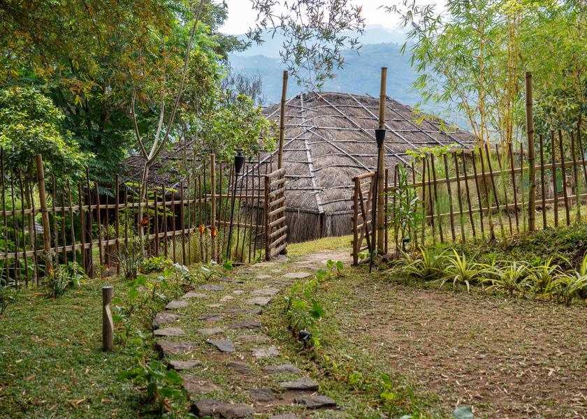Kerala Munnar Outdoors