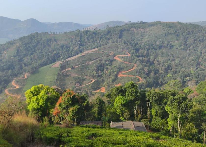 Kerala Vagamon 